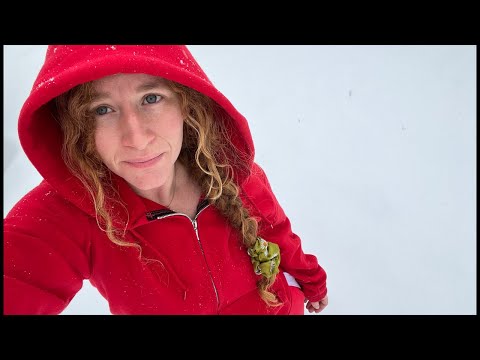 Merry Christmas! Red Rider is live!