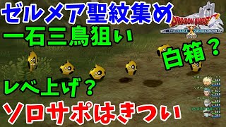 [ドラクエ10実況]ゲノミーからゼルメアの聖紋をソロで集めるのは鬼畜なので他のメリットも絡めたい[DQX]