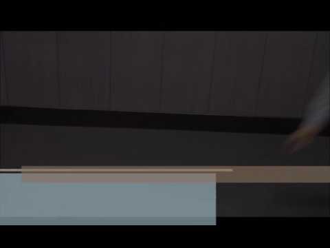 Sahil sharma Irfan khan