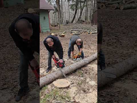 gas vs electric chain saws 😂. #milwaukee #sthilchainsaw #northernwi #funny