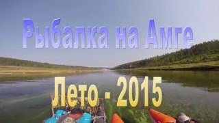 Что ловить на амге