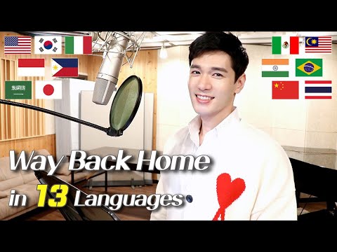 Way Back Home (SHAUN 숀) 1 Guy Singing in 13 Different Languages - Cover by Travys Kim