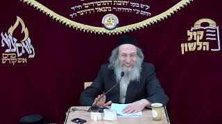 הרב אלימלך בידרמן | 🔴שידור חי! שיעור פרשת עקב תשפ"ה (הערוץ של ארגון קול הלשון) - התמונה מוצגת ישירות מתוך אתר האינטרנט יוטיוב. זכויות היוצרים בתמונה שייכות ליוצרה. קישור קרדיט למקור התוכן נמצא בתוך דף הסרטון