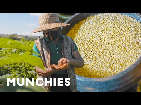 Using Mexico’s Most Ancient Grain: Amaranth