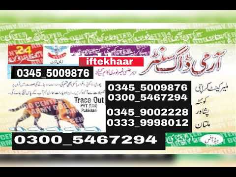 army dog centre RAWALPINDI Fateh Jang Jand Tala gang