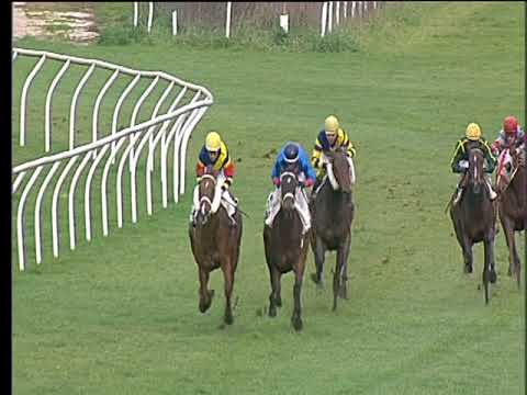 Galoppo 24/02/2018 - 3ª corsa