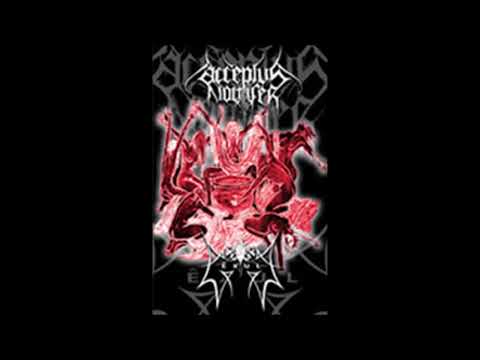 Acceptus Noctifer - The Frozen Paths