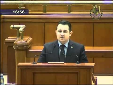 Marius Dugulescu - Tineri timisoreni in vizita la camera deputatilor