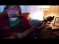 Wrong From the Start (Turtles cover) by Scott Roberts