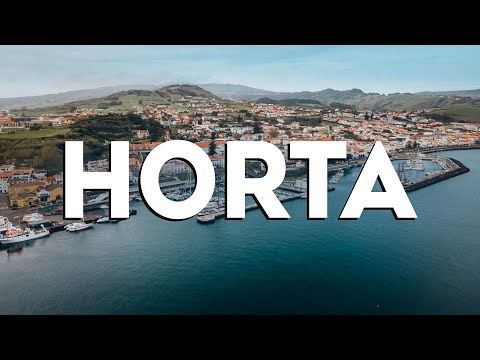 Top 10 Best Things to Do in Horta, Portugal [Horta Travel Guide 2024]