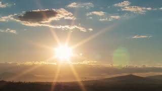 O bambu chins.      Para refletir. (Motivacional)