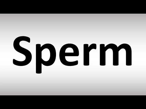 How to Pronounce Sperm