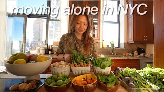 grocery shopping at the farmers market + flea market in central park |