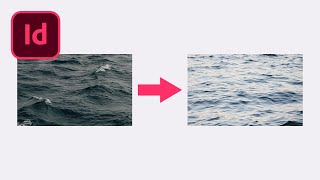How to Replace an Image In Adobe InDesign