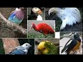 The Kids ABC S At The Zoo Version 6