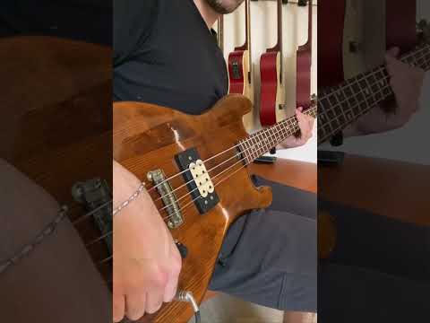 Vintage Eko B01 Bass - Made in Italy perfectly preserved image 15