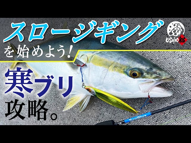 Jackall Bambluz Jig - Slow متعدد الألوان (إضغط على...