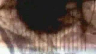 Sweet Misery: A Poisoned World