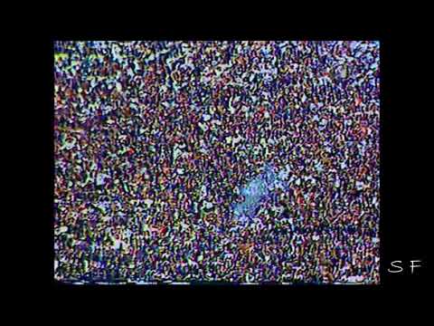 Gol Viola   Comemoração Porco