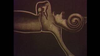 Dipnoi Fish Interview part 04 - My audience