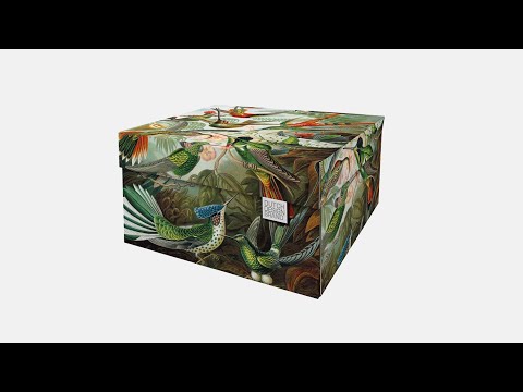 Dutch Design Storage Box animation and folding manual