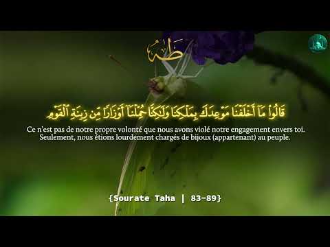Taha 83-89 - Récitation Puissante du Coran par Sheikh Tawfeeq As-Sayegh