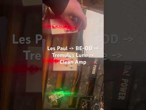 Handsome Reggie FX Lunar Quiver 2026 - Various image 3