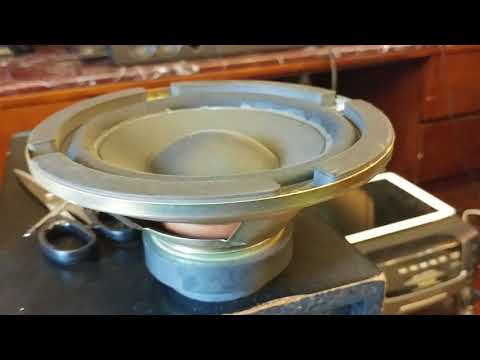 Kenwood SW-900 ___ What's Inside?