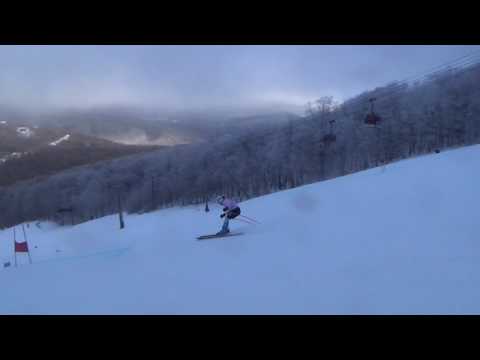 170125 Needles SG EV