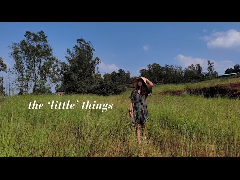 the beauty of an ordinary life - comparison and social media