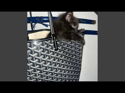 trapspot (feat. jaydes)