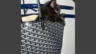 Cover art for Trap Spot