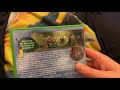 A Bugs Life UK DVD Unboxing
