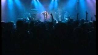 Litfiba   Apapaia   Tenax 1987   5/14 HQ