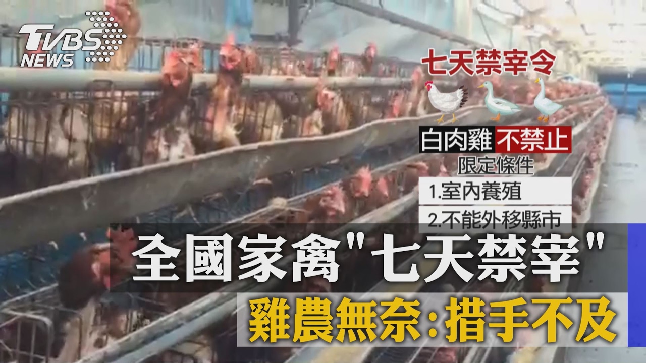 全國家禽7天禁宰 超市賣場庫存僅4天