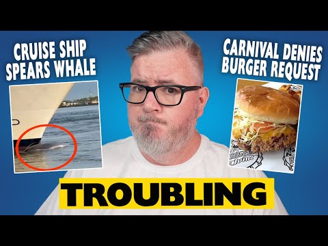 Endangered Whale IMPALED by Cruise Ship, CARNIVAL DENIES BURGER REQUEST, Amazing Rescue at Sea