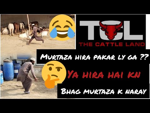 Murtuza ka imtehan 😀 | Hira ny murtuza ko nacha dia 😃| comedy 😄| murtuza n jety Rs50 |