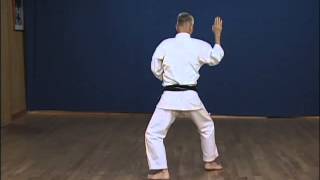 Pinan Shodan