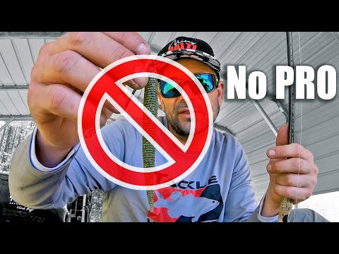 NOT Even the PROS Know to do this with a Ned Rig for Spring Bass