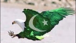 14 August - Jashan e Azadi Mubarak- 14 august whatsapp status video- Happy Independence Day Pakistan