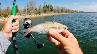 Drift Fishing for Catfish on the Tennessee River with Cut Shad for Bait