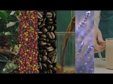 ASMR: Sights & sounds of Starbucks new lavender beverages