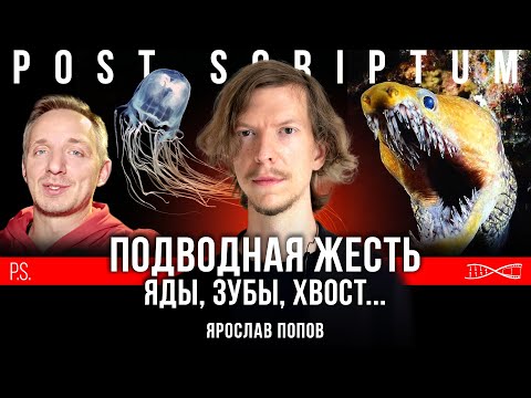 Опасные подводные ребята. Яды, зубы, хвост... | Ярослав Попов | Постскриптум