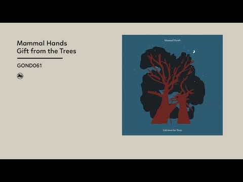 Mammal Hands - Gift from the Trees (Official Album Video)