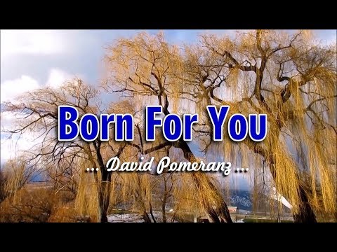 Born For You - David Pomeranz (KARAOKE VERSION)