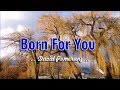 Born For You - David Pomeranz (KARAOKE VERSION)
