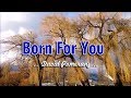 Born For You David Pomeranz KARAOKE VERSION
