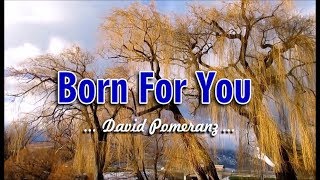 Born For You - David Pomeranz (KARAOKE VERSION)