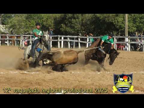 12ª VAQUEJADA REGIONAL DO PARQUE DE VAQUEJADA VALTER BORGES EM SANTA TEREZINHA-MT - novembro/2025