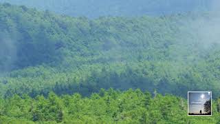 Download lagu Elgar : Cello Concerto in E minor op.85 / Queyras, Bělohlávek 2012 mp3